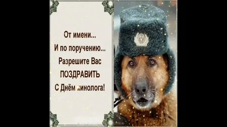 i (6).webp
