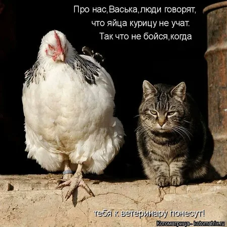 i (88).webp