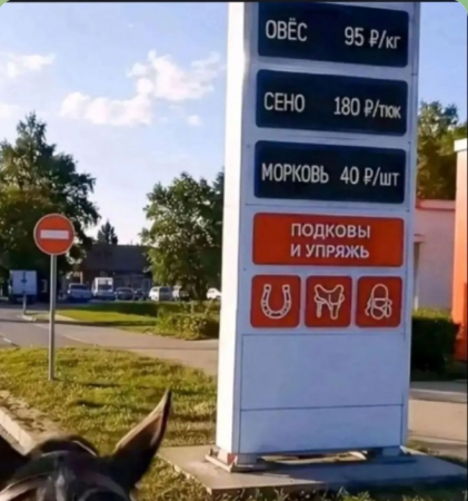 image.thumb.png.d6a2aa31ec19dc8ac44c60c15a43ae8a.png