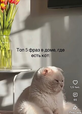 IMG_6196.thumb.jpeg.6e190dfc0fb9fe8f95023387c7cad196.jpeg