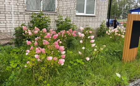 IMG_6304.thumb.jpeg.3160506066ab2d75e2ed464aea0b4f2a.jpeg
