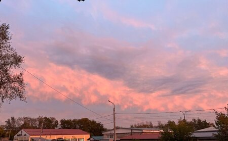 IMG_6515.thumb.jpeg.8e5942109ce60ad66ec2cfccbe0a5767.jpeg