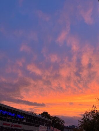 IMG_6517.thumb.jpeg.736e2ef49f0b0950f259d7f8a3fdd4ad.jpeg