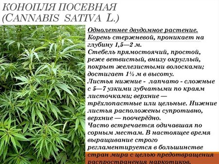 slide-19.jpg