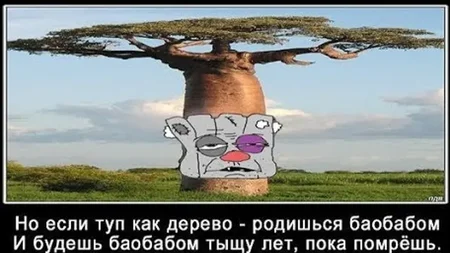 videoPreview.webp