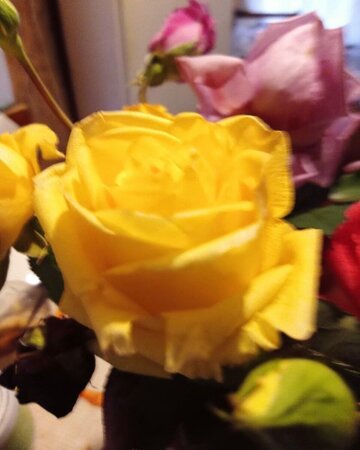 IMG_6796.thumb.jpeg.6e519f7f7cb80d5da82c20ceb8b758fe.jpeg