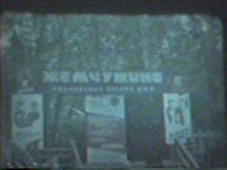 post-20910-1206981595_thumb.jpg
