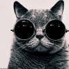 Dendiii